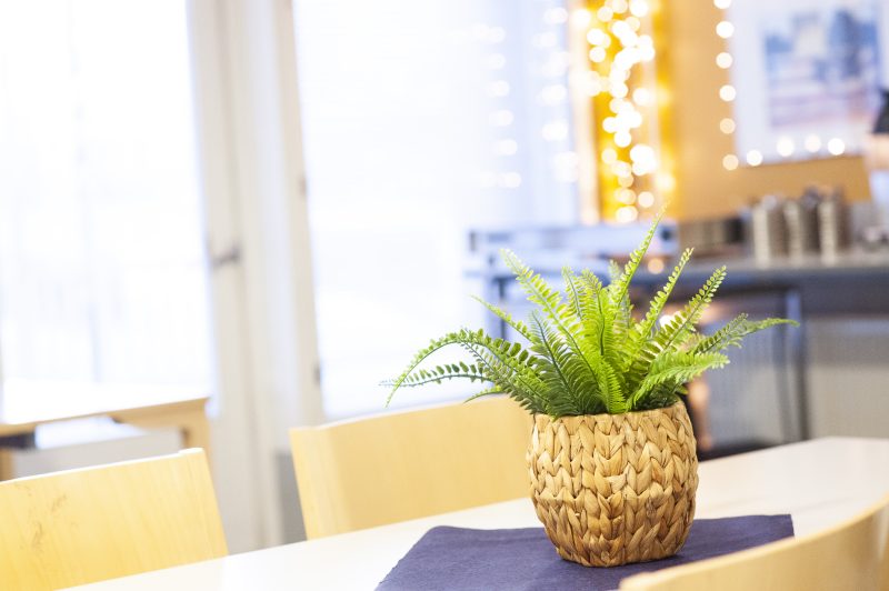 Kohdistettu lähikuva Auroratalon pöydältä, jolla on viherkasvi. Taustalla näkyy epäselvästi kahvipiste ja jouluvalot.