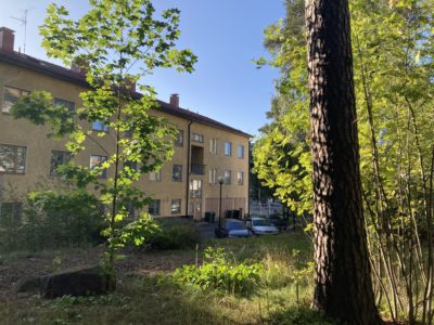 Keltainen kolmikerroksinen asuintalo vehdeässä ympäristössä, sininen taivas.