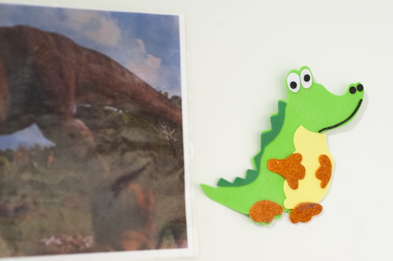 Vierekkäin kaksi kuvaa, toinen valokuva hevosesta, toinen piirretty kuva veikeästä krokotiilista.