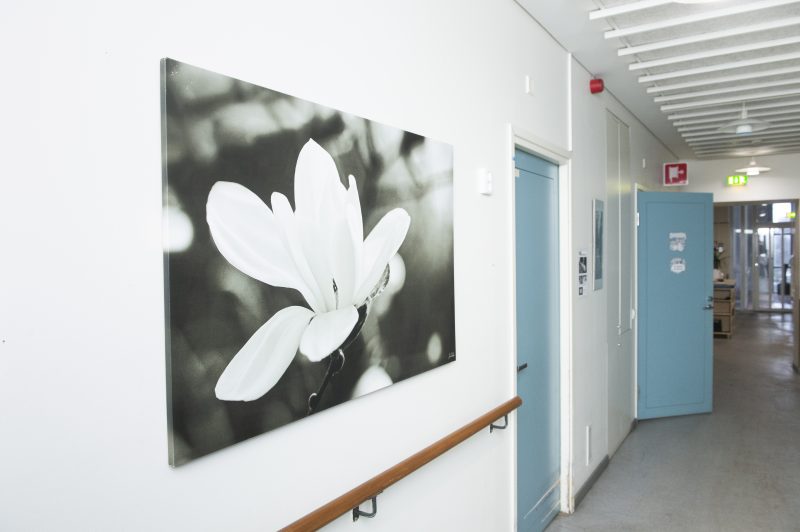 Sisäkuva toimipisteestä. Käytävällä on sinisiä ovia huoneisiin. Seinään on myös kiinnitetty taulu, jossa iso valkoinen kukka.