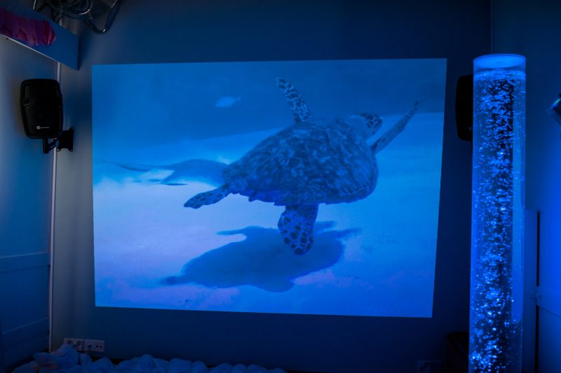 Kuvassa on toimipisteen aistihuone. Kuva on sinisävyinen ja siinä näkyy seinälle heijastettu suuri kilpikonna, joka ui vedessä.