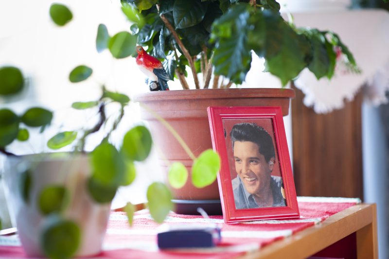 Lähikuva sivupöydältä, jolla on viherkasveja ja pieni Elvis Presleyn muotokuva punaisissa kehyksissä.