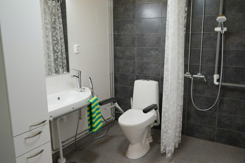 Moderni kylpyhuone, jossa suihku, WC-pönttö, pesuallas ja kaapisto.