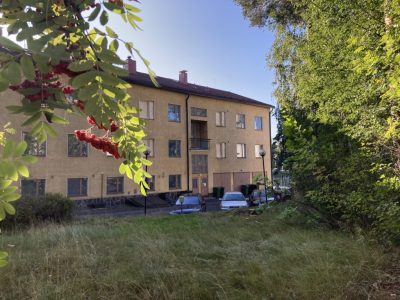 Ulkokuva Mäntylästä. Rakennus on komikerroksinen ja keltaista kiveä. Piha on vehreä.