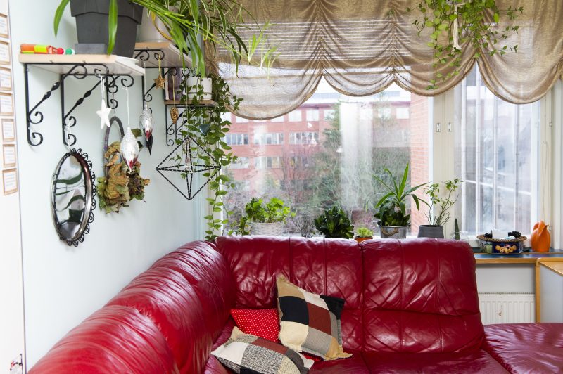 Sisäkuva Meriasta. Kuvassa näkyy punainen tekonahkainen kulmasohva, jolla on värikkäitä sohvatyynyjä. Sohvan takana on ikkuna, jossa on beige kappaverho. Ikkunalaudalla on viherkasveja. Seinällä hyllyjä, joilla on lisää viherkasveja.