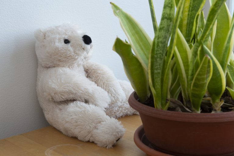 Rinnekodit Juniori-Frida