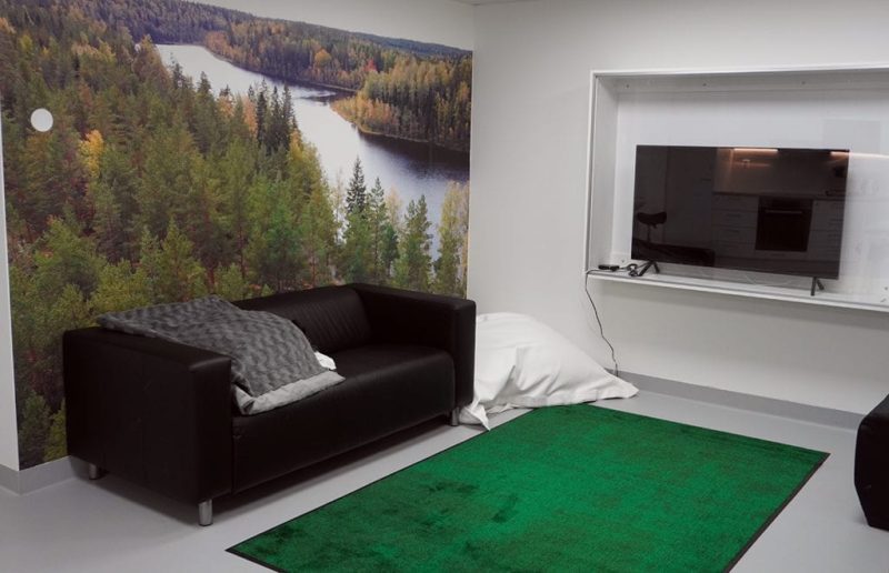 Pajulan leponurkasta löytyy sohva, säkkituoli ja televisio. Seinällä on järvimaisematapetti ja lattialla on pehmeä vihreä matto.