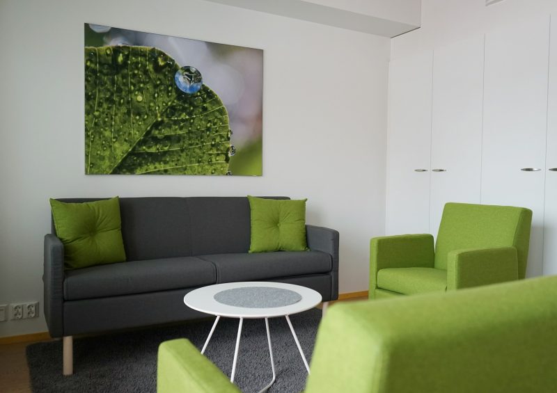 Yleisnäkymä oleskelutilaan, jossa musta sohva ja kirkkaanvihreitä nojatuoleja. Sohvalla myös vihreitä tyynyjä. Seinällä taulu, jossa lähikuva lehdestä, jossa on vesipisaroita.