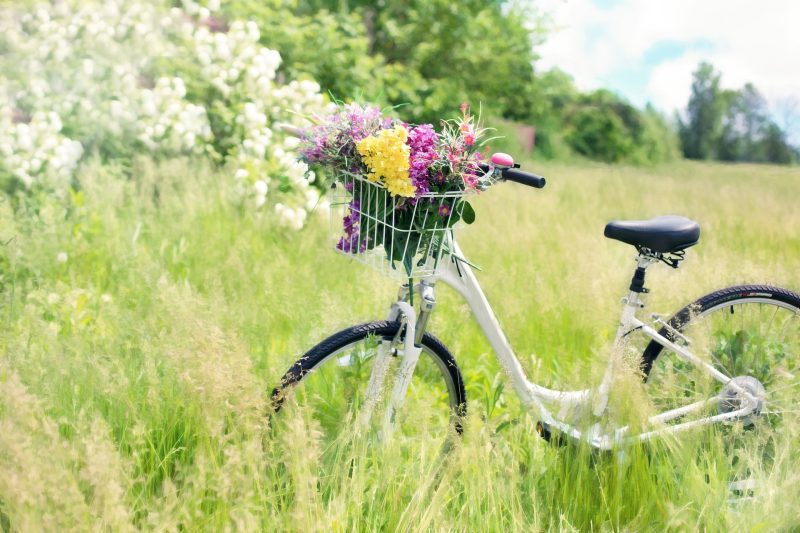 A bicycle is standing in a green field. It has colorful flowers in it's front basket.