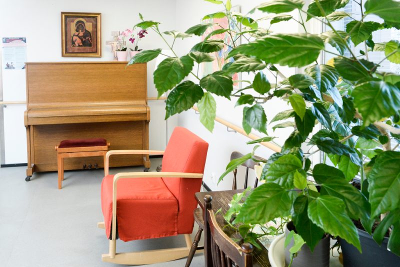 Viherkasvi peittää kuvasta noin puolet etualalla, taustalla näkyy punainen nojatuoli ja ruskea piano. Seinällä tauluja, pianon päällä kukkia ruukuissaan.