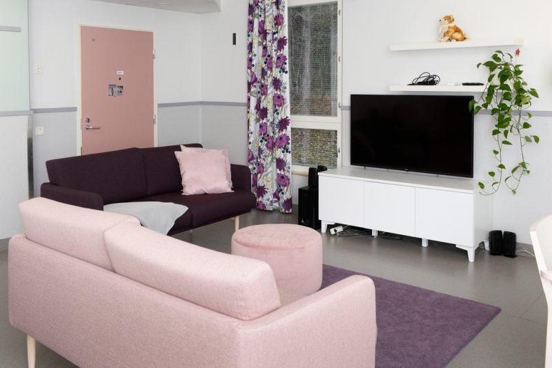 Oleskelutilassa viininpunainen ja vaaleanpunainen sohva, sekä lila matto. Yhdellä seinustalla tv-tason päällä taulutelevisio, sen vieressä hyllyissä viherkasveja. Ikkunan edessä kukkasellinen verho.