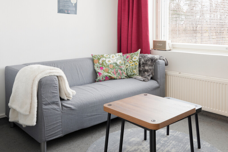 Harmaan sohvan edustalla kaksi pientä ruskeaa sohvapöytää. Ikkunan edessä punainen verho.